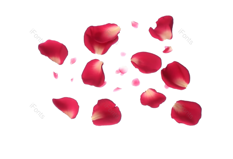 装饰图片,520元素,玫瑰花PNG,玫瑰免抠素材